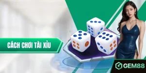 Cách Chơi Tài Xỉu Khôn Ngoan Giúp Bạn Luôn Chiếm Ưu Thế