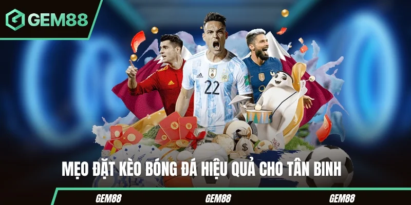 Mẹo đặt kèo bóng đá hiệu quả cho tân binh 