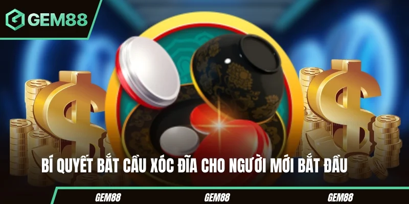 Mẹo Soi Cầu Xóc Đĩa Cực Chuẩn Cho Người Mới Bắt Đầu Bí quyết bắt cầu xóc đĩa cho người mới bắt đầu