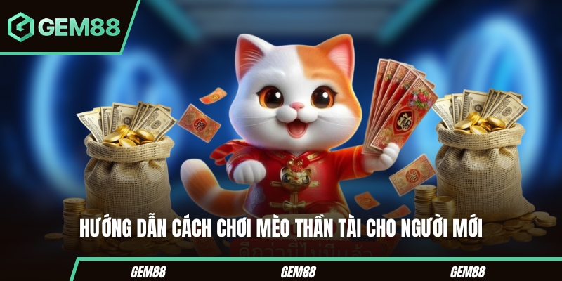 Hướng dẫn cách chơi mèo thần tài cho người mới