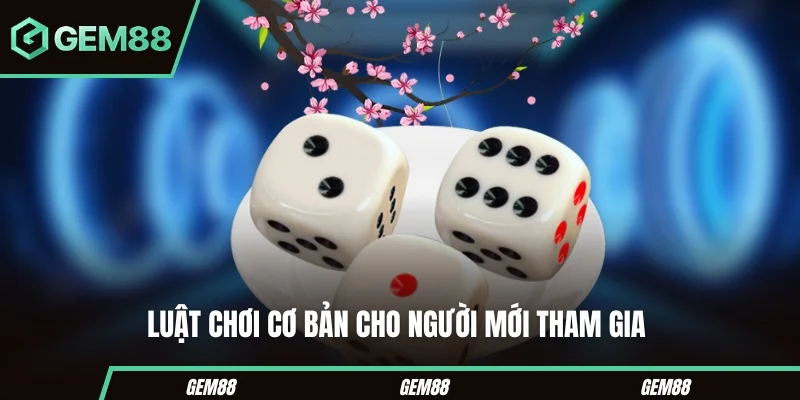 Tài Xỉu Sunwin - Bí Quyết Đặt Cược Ăn Chắc Cho Người Mới Luật chơi tài xỉu cho người mới gia nhập